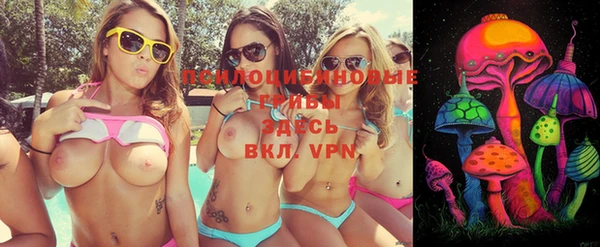 мет Богданович