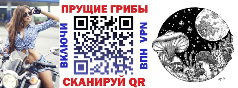 Купить где  Кондопога  Псилоцибиновые грибы GOLDEN TEACHER 