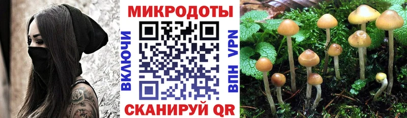 Псилоцибиновые грибы ЛСД Кондопога